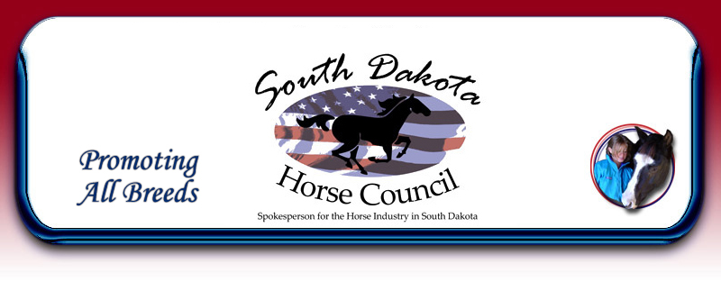South Dakota Horse Fair.